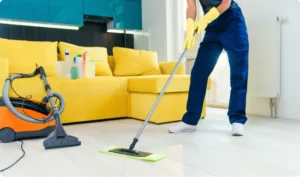 Recurring Cleaning